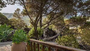 Una barana de fusta, plantes en testos i un paisatge rocos amb arbres.