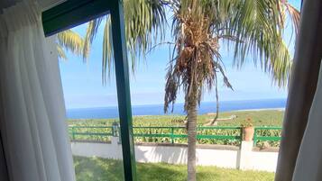 Una habitación con vista a una palmera y al océano a través de un ventanal.