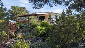 Una casa amb un porxo cobert, envoltada de plantes i arbres diversos.