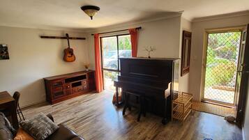 TV, fireplace, books