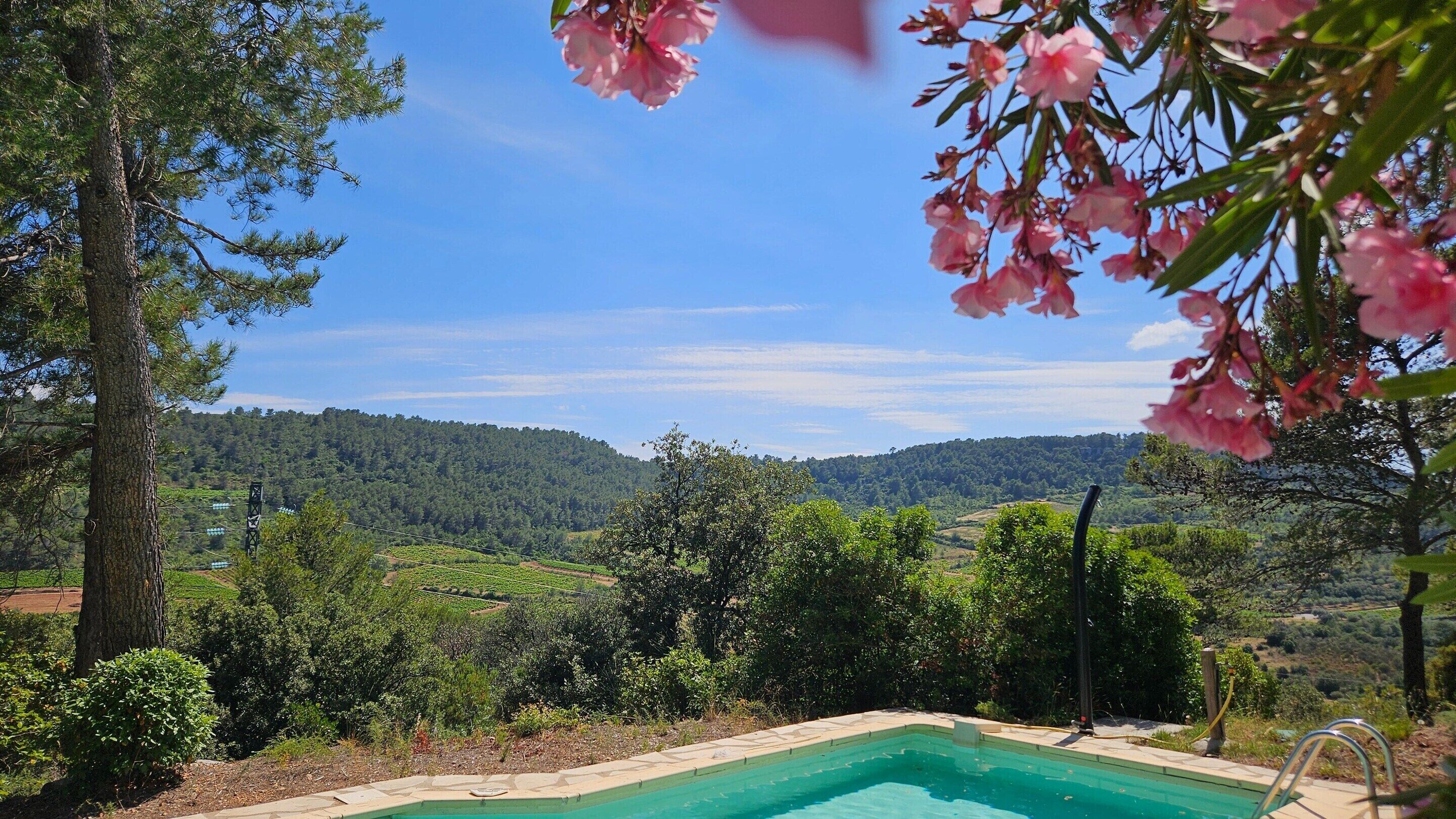 House | View from property