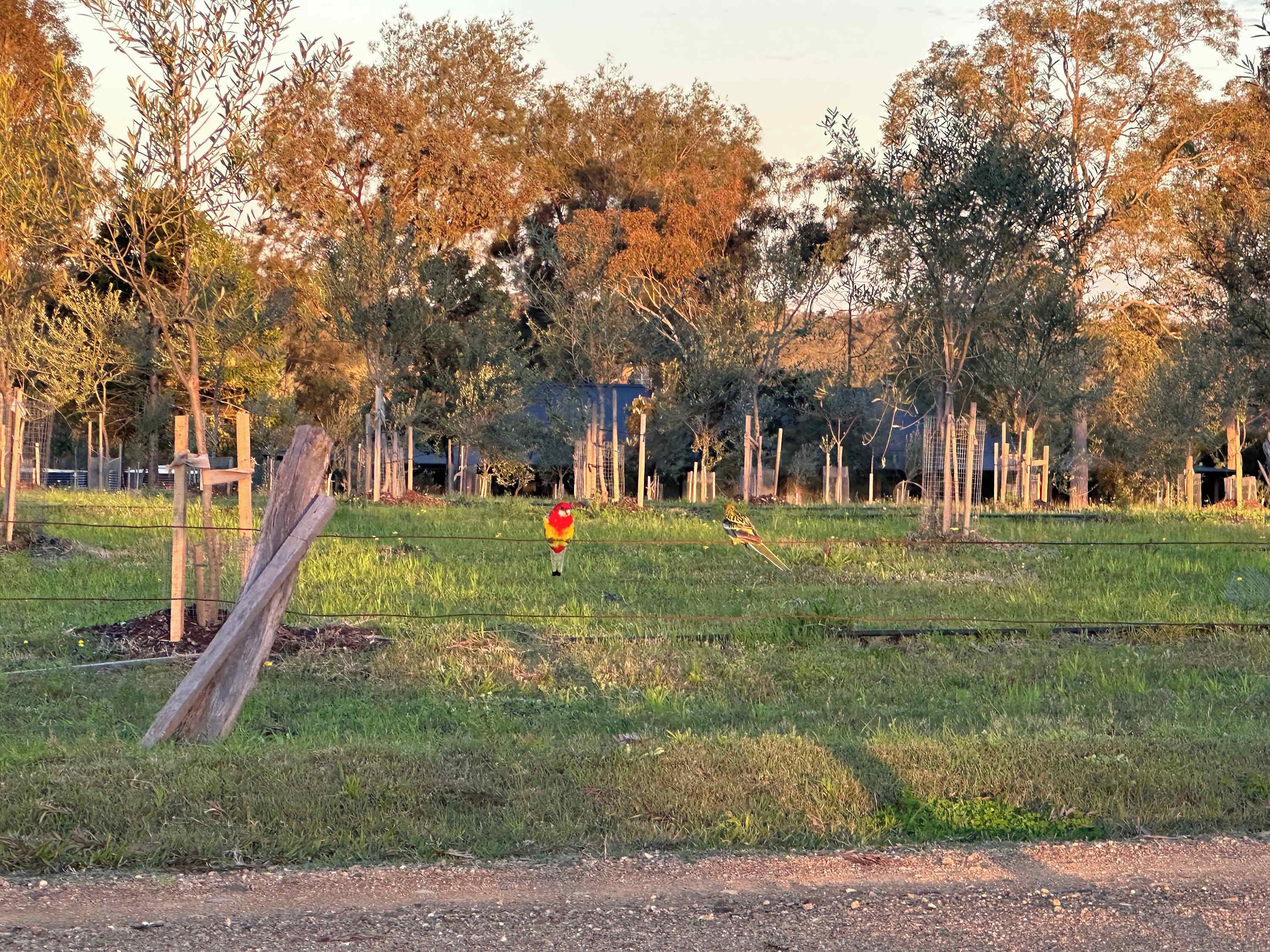 Áreas de la propiedad