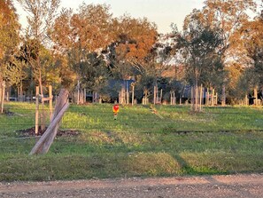 المنطقة المحيطة بالمنشأة