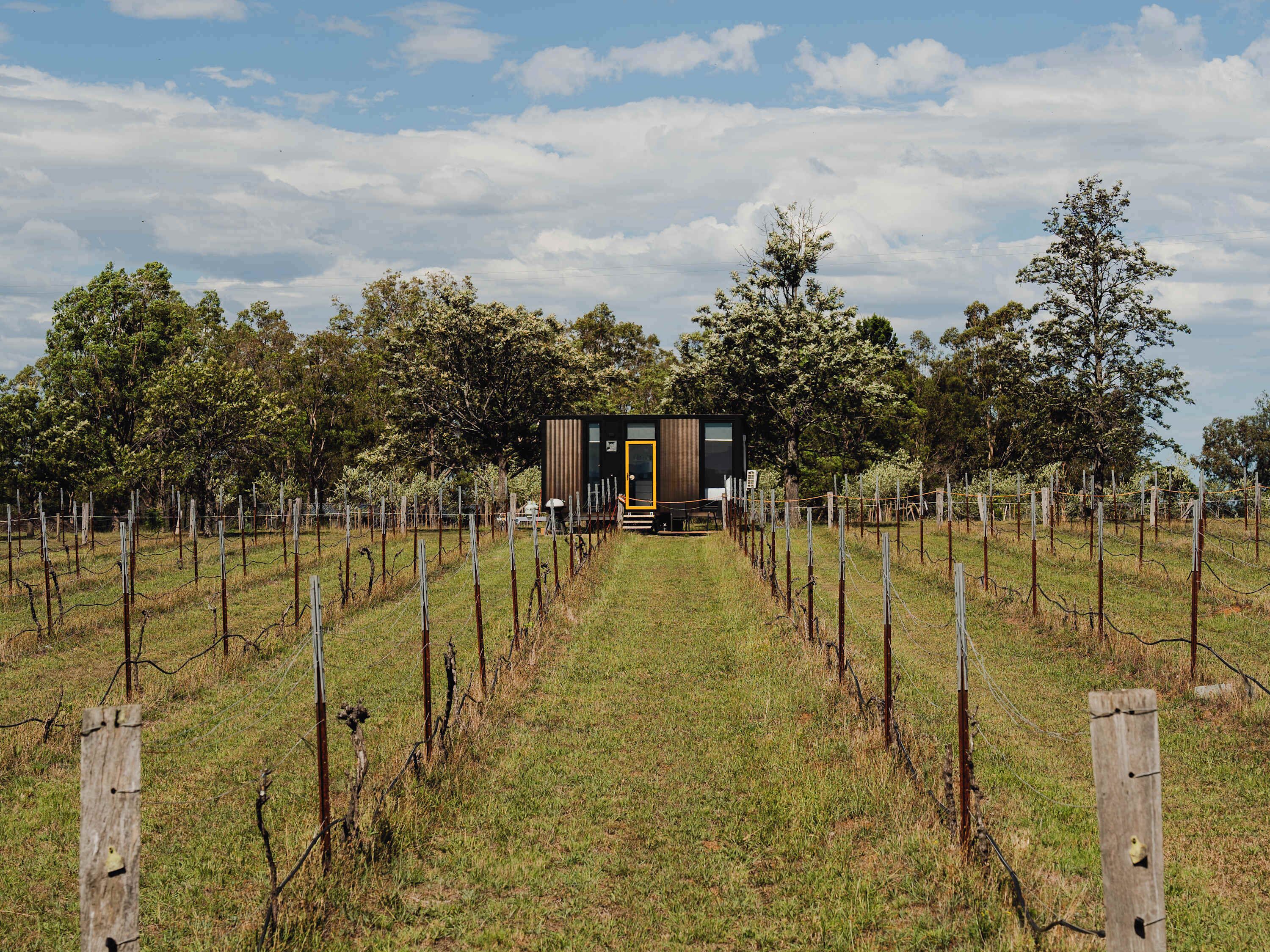 A modern, single-story building with a prominent yellow door, surrounded by a vineyard with rows of grapevines and a wooden fence.