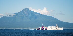 ビーチ / オーシャン ビュー