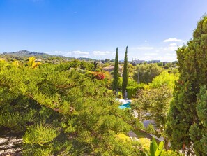 Property grounds - Villa Tito y Yaya · Private Pool & WiFi (Alcudia)