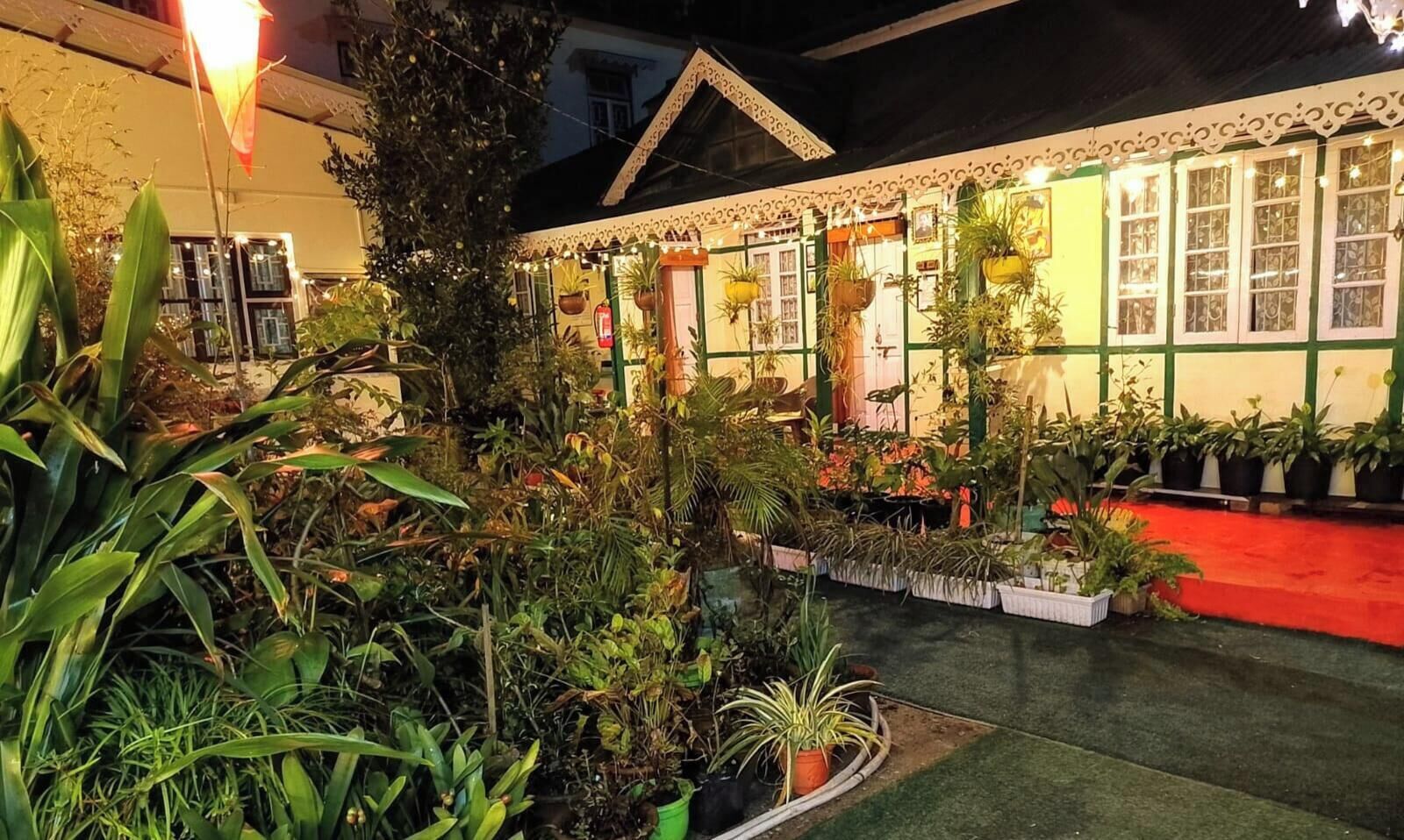 A well-lit indoor garden with various potted plants and a red carpet path.