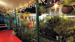A covered outdoor area with potted plants and string lights. - Arthur's Inn (Gangtok)