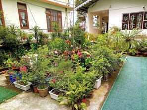 Property grounds - Arthur's Inn (Gangtok)
