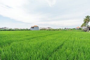 View from property - Villa Komoko by Bali Bliss Properties (Canggu)
