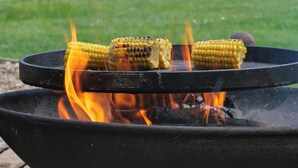A grill with corn on it, flames, and a grassy background. - The Butterchurn - UK50805 (Cratfield, near Laxfield)