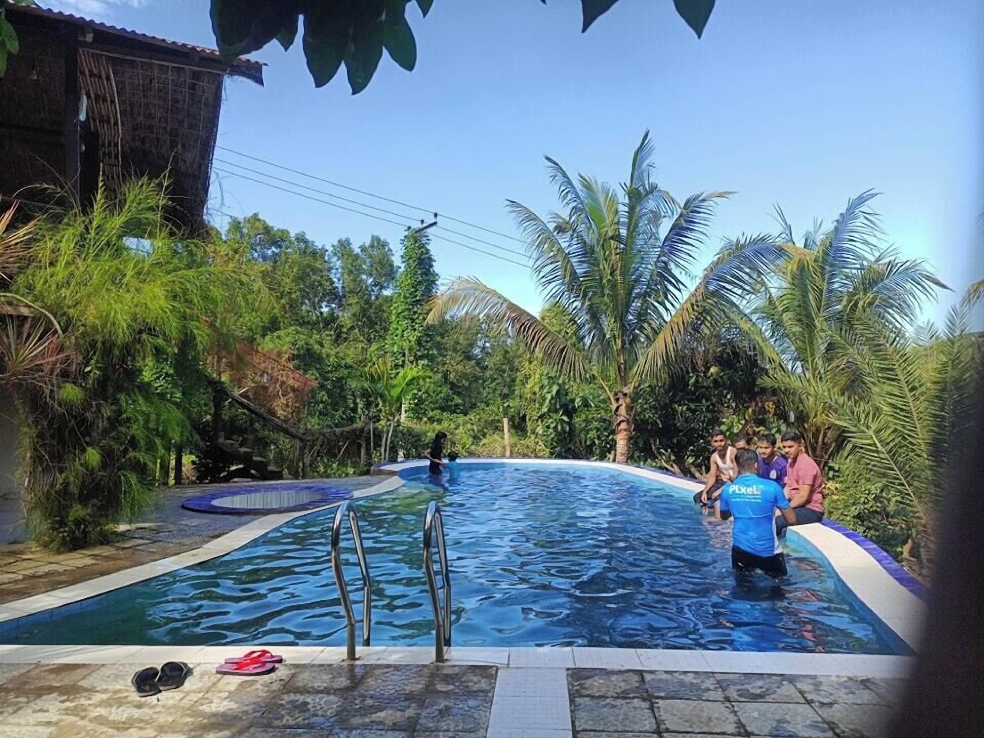 Una piscina rodeada de exuberante vegetación y palmeras.