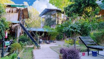 Khuôn viên nơi lưu trú