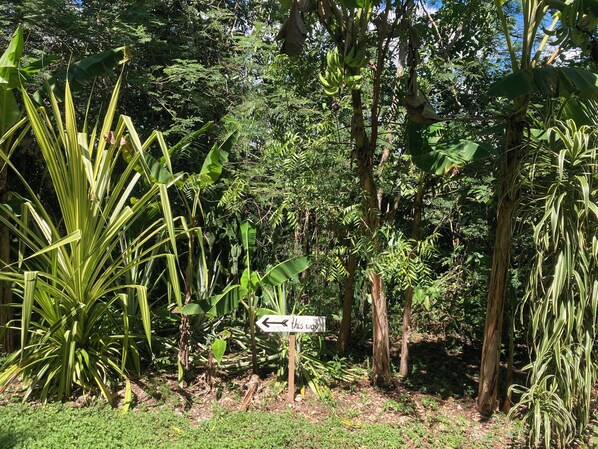 Overnattingsstedets uteområder