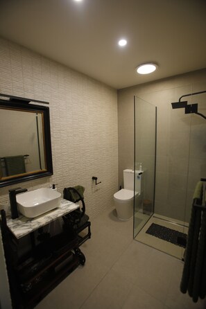 Shower, hair dryer, towels, soap