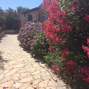 Jardines del alojamiento