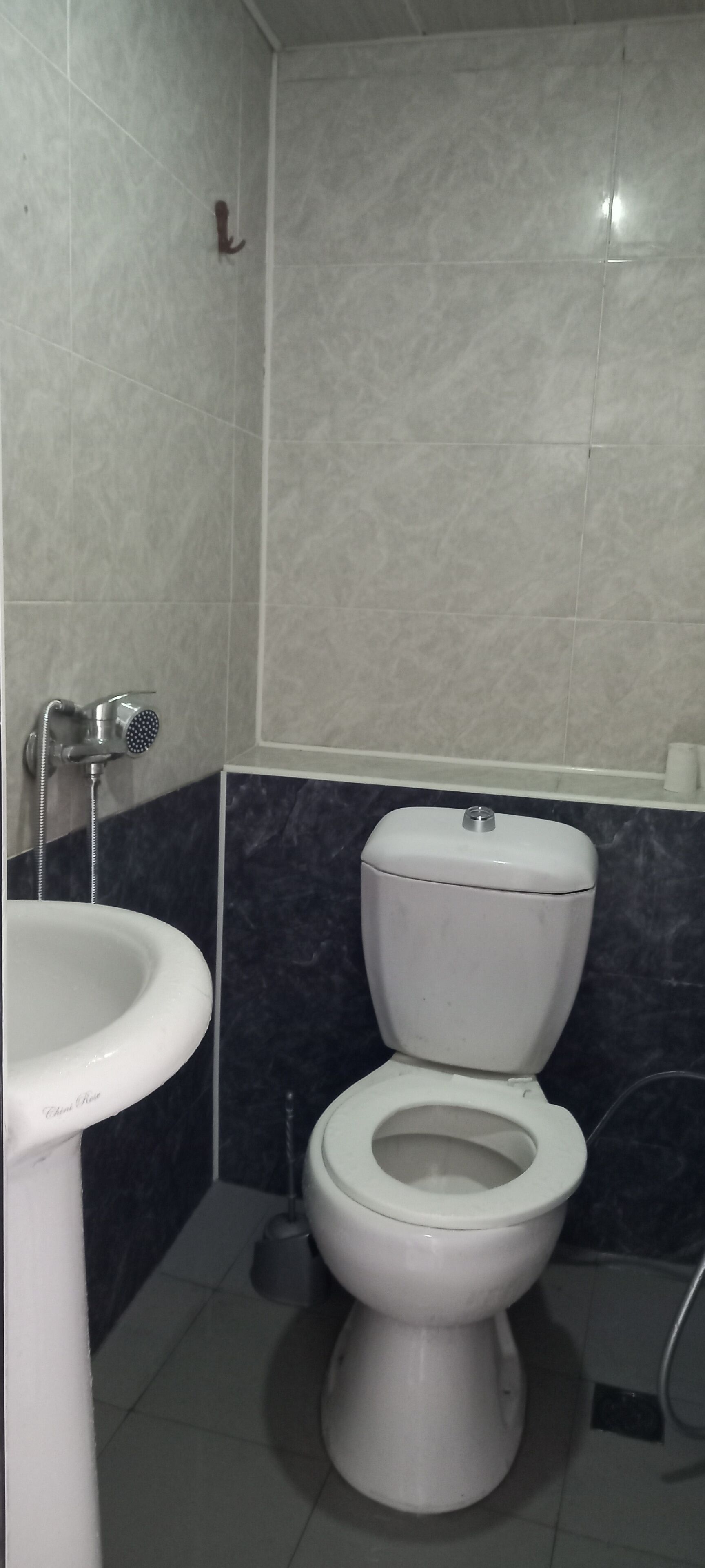 A bathroom with a toilet, sink, and shower.