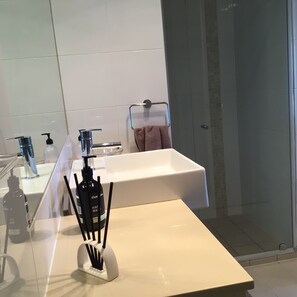 Shower, hair dryer, soap, toilet paper