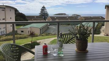 A balcony with a table, chairs, a bottle of wine, and a potted plant.