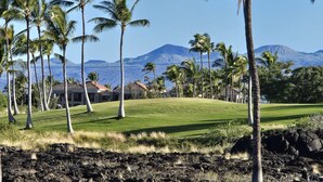 A tropical landscape with palm trees, a grassy area, and a mountain in the background. - New! Stylish island living, walk to beach, opp to Hilton! Partial ocean views! (Waikoloa Village)