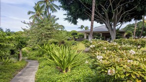 A pathway surrounded by lush greenery and flowering plants, leading to a building with a covered entrance. - New! Stylish island living, walk to beach, opp to Hilton! Partial ocean views! (Waikoloa Village)
