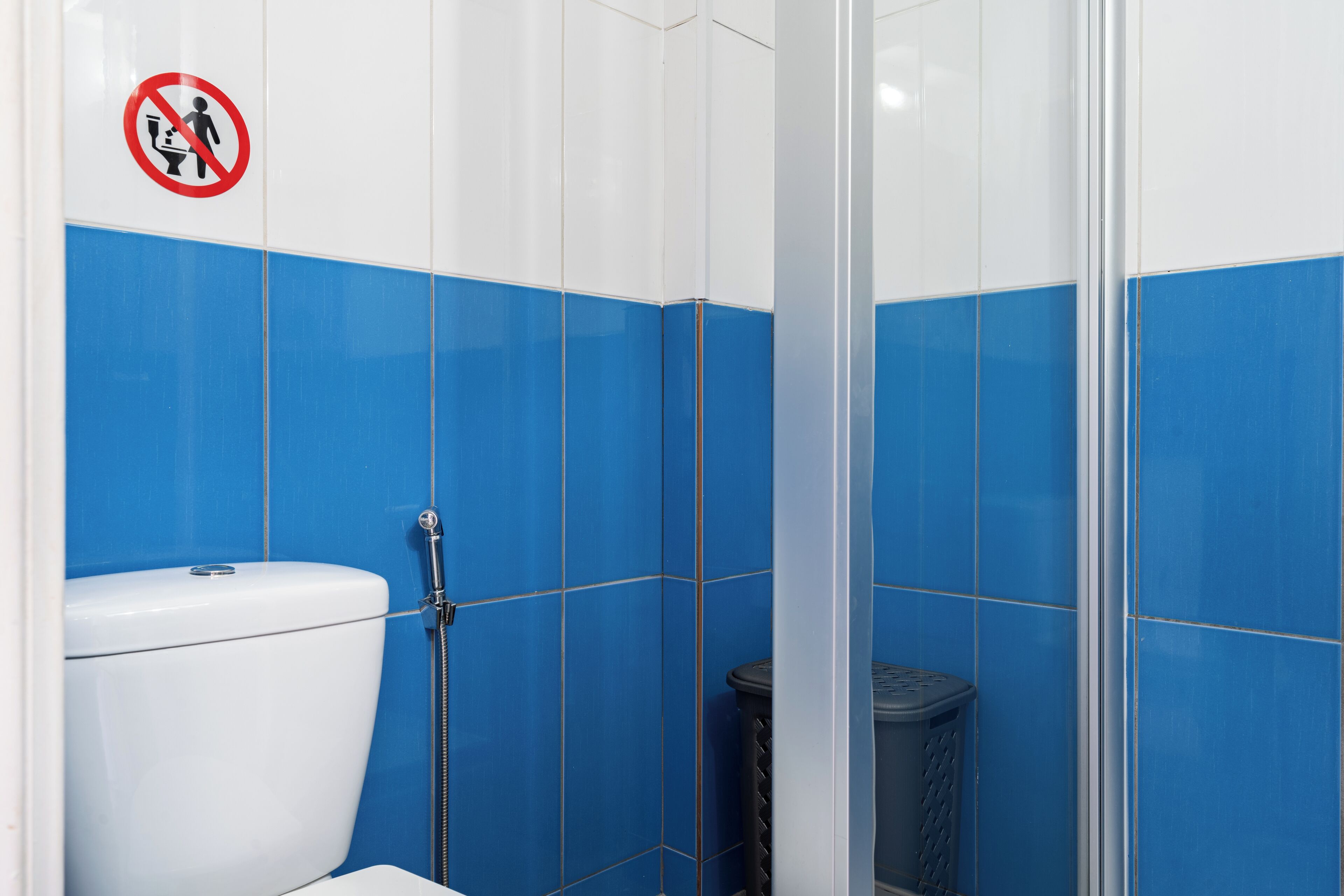Ein Badezimmer mit blauen und weißen Fliesen, einer Toilette, einem Mülleimer und einer Duschkabine.
