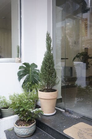 Vista frontal de la propiedad