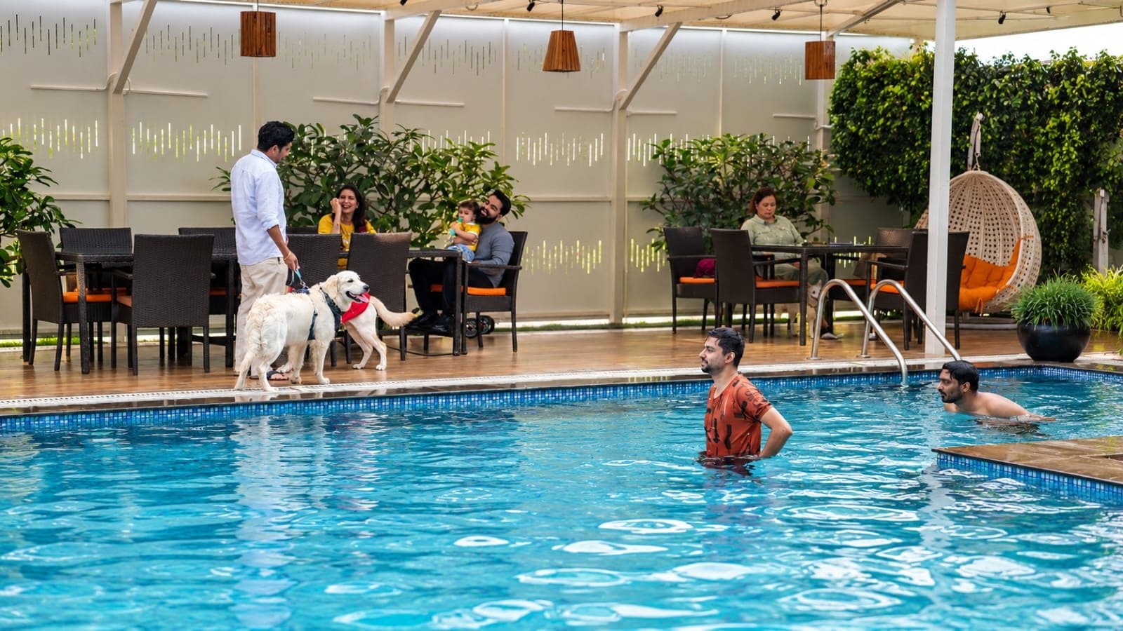 Zona de piscina con sillones, asientos y terraza cubierta.