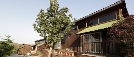 A modern wooden house with a large tree in front, a paved driveway, and a bicycle parked outside.