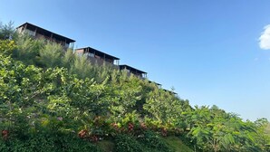 Un edificio moderno de varios niveles, rodeado de exuberante vegetación y plantas florecientes.