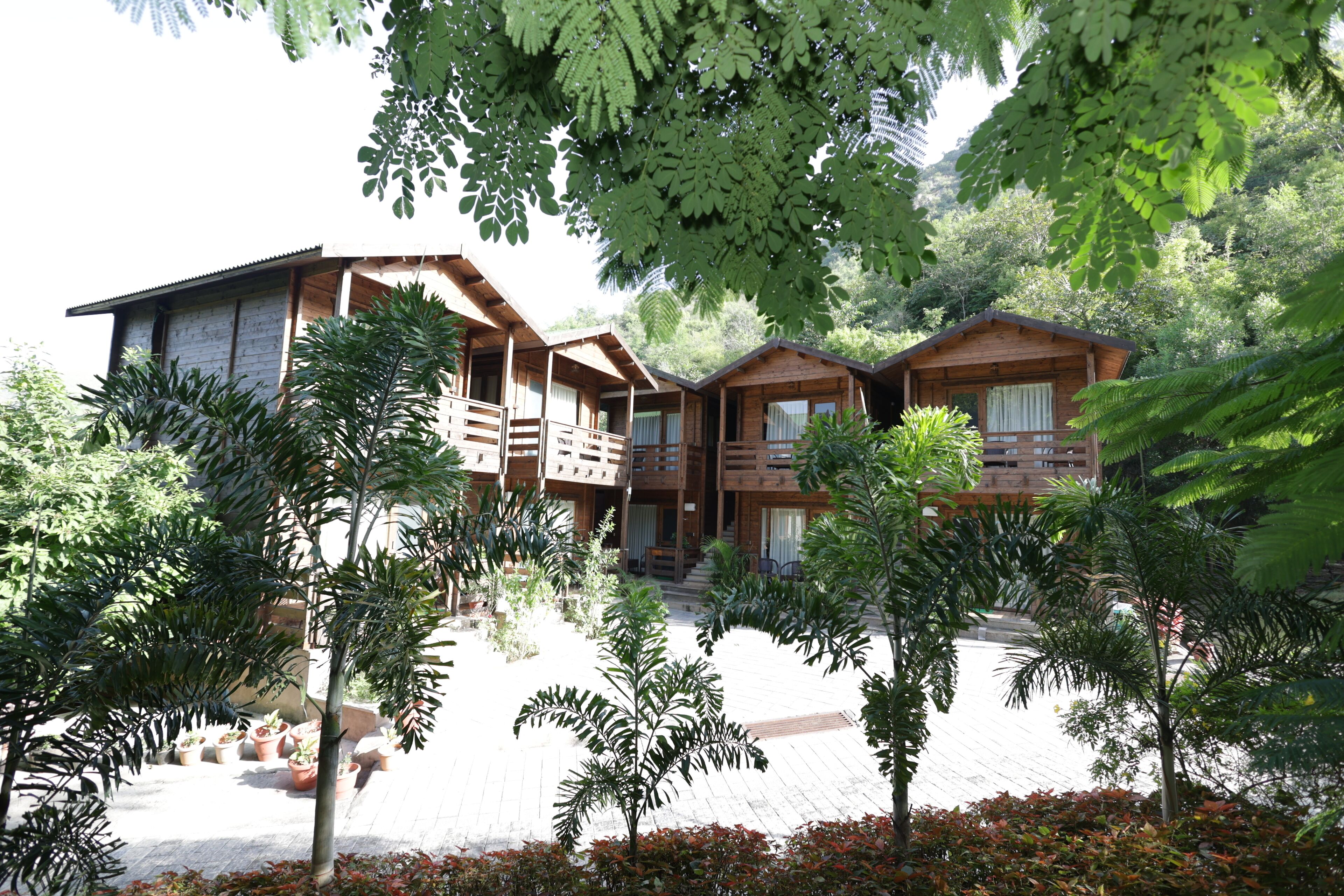 A wooden lodge with multiple cabins, surrounded by lush greenery and potted plants.