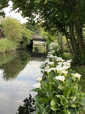 A serene garden with a canal, lush greenery, and a bridge in the background.