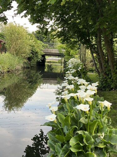 Traditional house ★★★★ in the Hortillonnages of Amiens