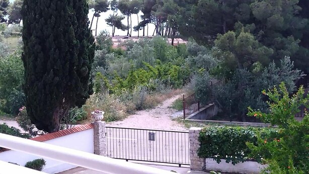 Vue d’une zone côtière avec un sentier menant à une entrée fermée par un portail, le tout entouré d’une végétation luxuriante et d’arbres.