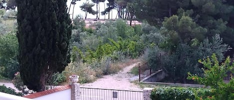 Overnattingsstedets uteområder