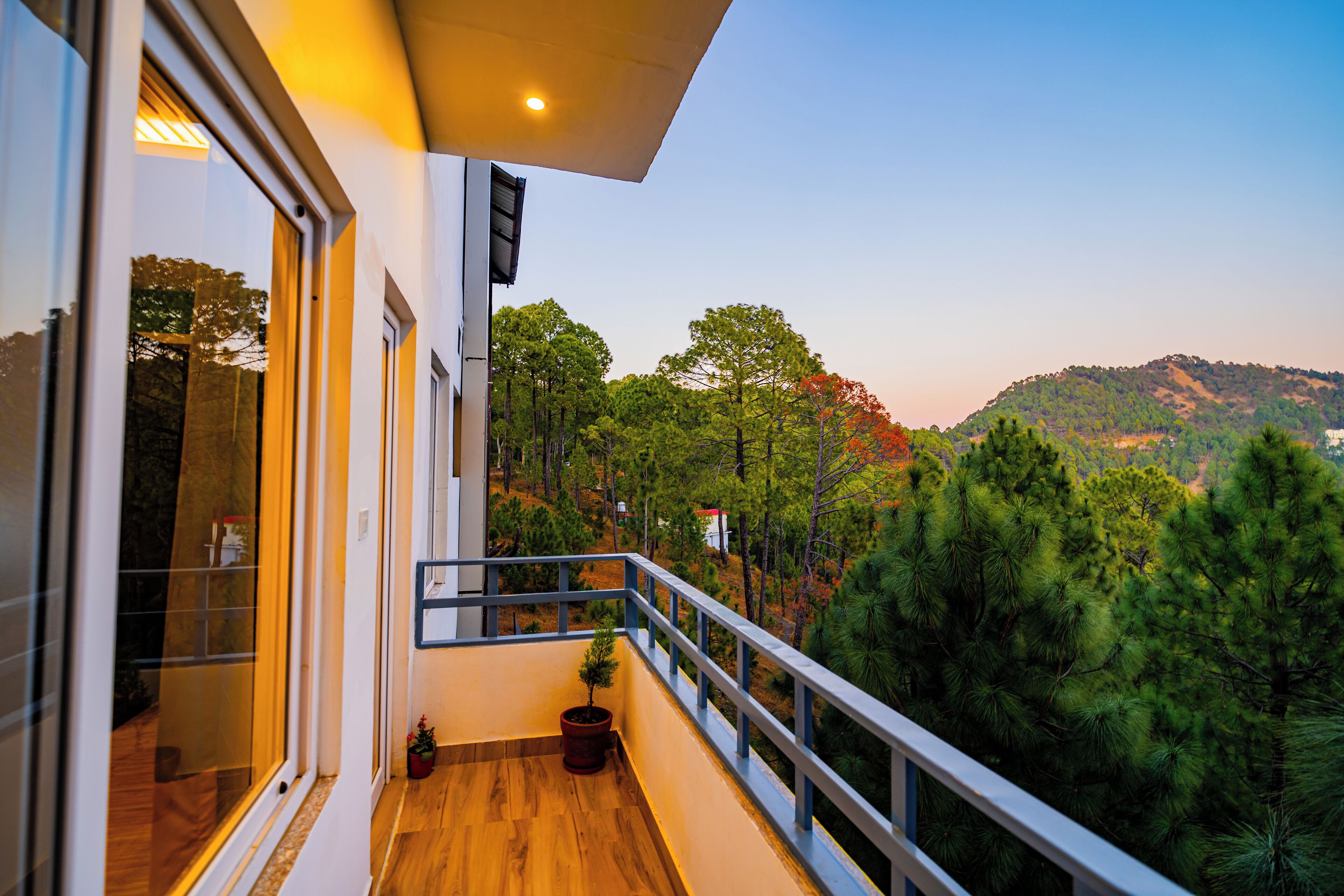 Shared dorm comfort Bed in 8 Bed Female Dormitory with Balcony | Terrazza/patio