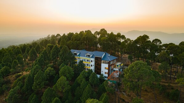 A modern multi-story building surrounded by dense forest, with a clear view of the surrounding landscape.