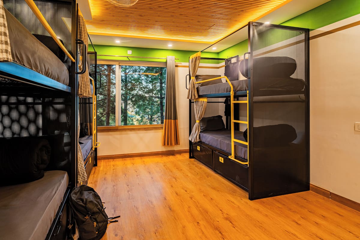 Dormitori compartit Deluxe | Wifi gratuïta