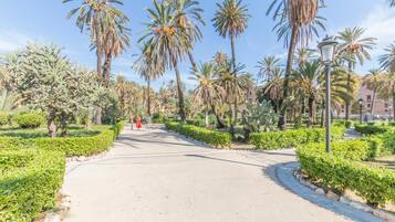 Parco della struttura