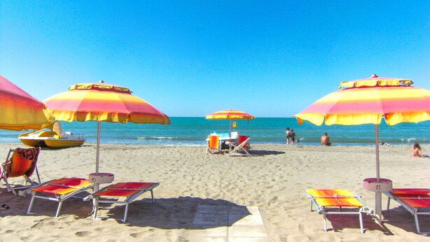 Una playa con múltiples sombrillas y sillas de descanso.