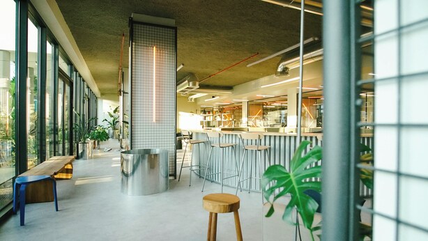 Una cocina moderna con taburetes de bar, un banco de madera y una planta grande.