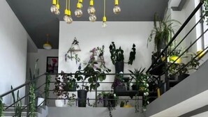 Un interior moderno con una escalera, varios niveles y diversas plantas en macetas.