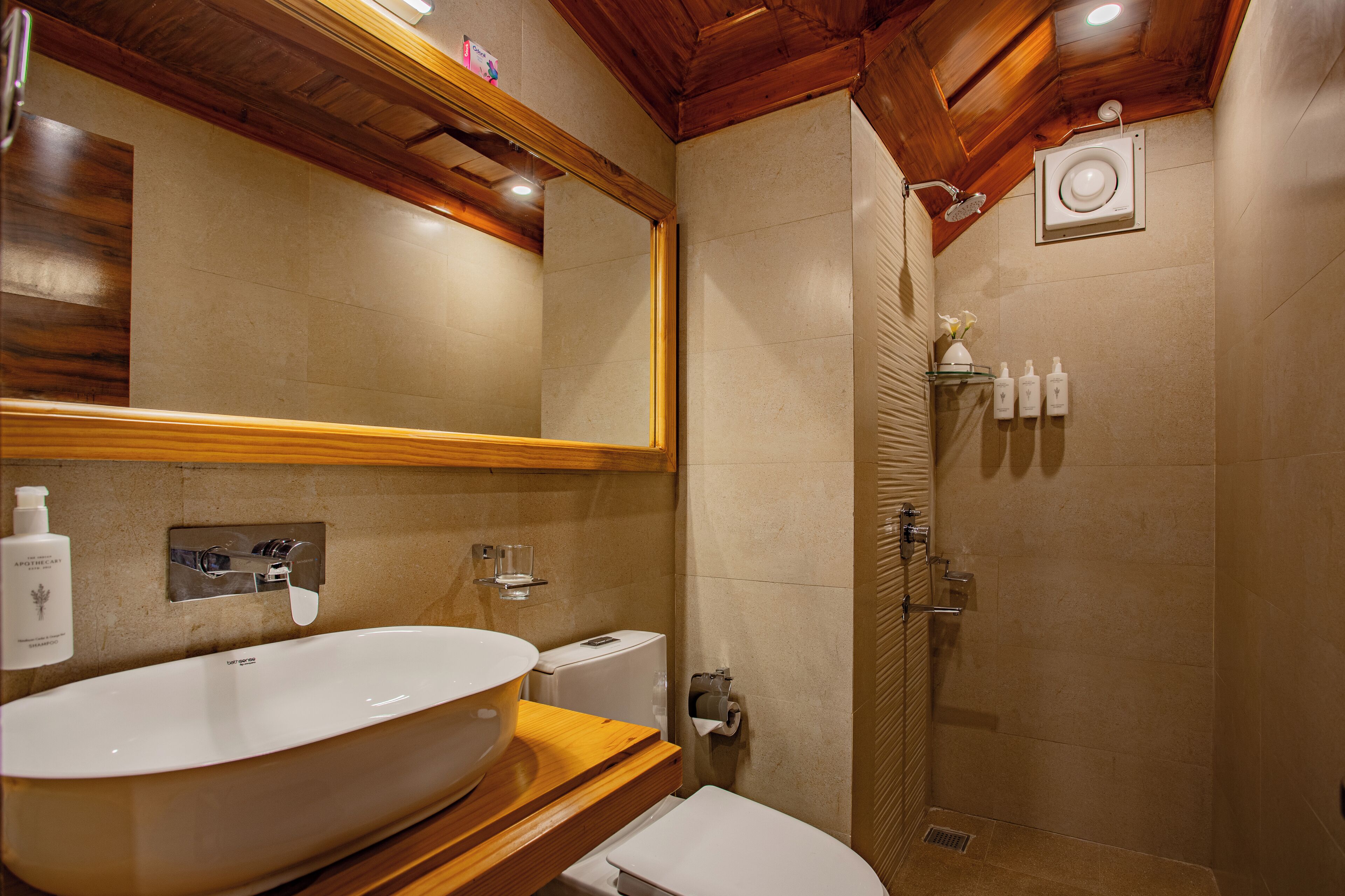 A bathroom with a large oval sink, a toilet, a shower, and a mirror.