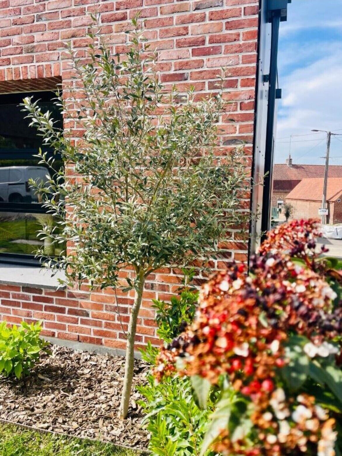 تفاصيل الفندق من الخارج