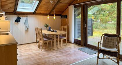 Pet friendly home in Oksbøl with WiFi