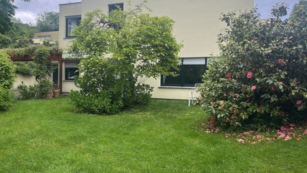 Un edificio moderno con techo plano, un pequeño jardín con césped y plantas en macetas, y una ventana con persiana cerrada.