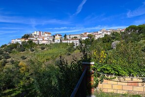 Property grounds - Borgo Sciugolo - Azalea Room (Baselice)