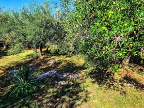 Property grounds - Vacation home Sandra by Interhome (Krk/Krk)