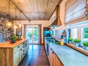 Fridge, oven, dishwasher, cookware/dishes/utensils - Vacation home Pia by Interhome (Opatija/Ičići)