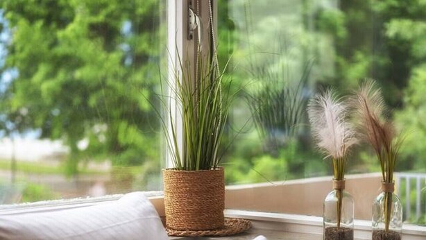 Ein Fenster mit Blick auf Grün, ein Korbpflanzgefäß und zwei Glasbehälter mit Pflanzen auf einem Fensterbrett.
